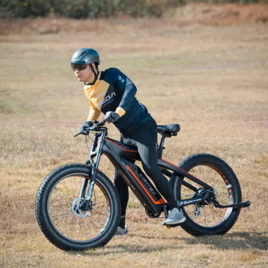 Поддержка Прямая поставка, элегантный дизайн, углеродное волокно, Ebike, электрический велосипед с толстыми шинами, Lectrique, электрический горный велосипед, MTB